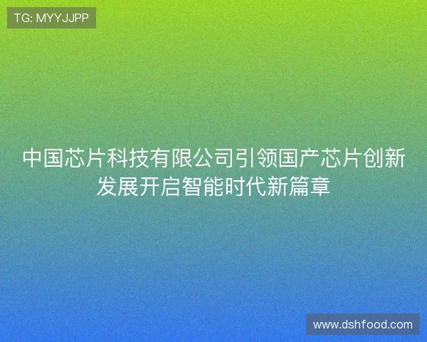 中国芯片科技有限公司引领国产芯片创新发展开启智能时代新篇章